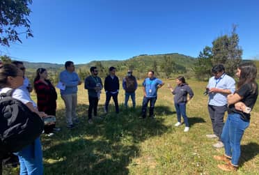 Municipio de Hualañé y Serviu analizan factibilidad de terrenos para proyectos habitacionales