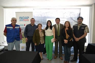 Gobierno regional e Indap llaman a postular al bono para alimentación ganadera y apícola