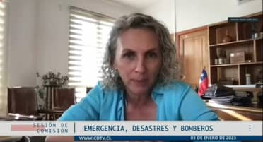 Alcaldesa de Molina pidió más regulación para evitar incendios forestales