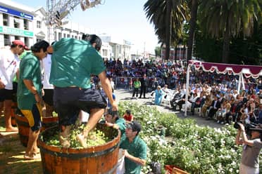 Candidatas competirán por ser la nueva embajadora de la Fiesta de la Vendimia de Curicó