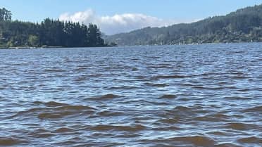 “Las autoridades regionales son los principales responsables de la contaminación en el Lago Vichuquén”, expresó el alcalde Patricio Rivera