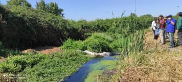 Un Mini Bosque se construirá en el Humedal de Las Vertientes de Santa Fe