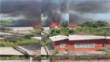 Incendio afecta a viviendas en sector Aguas Negras de Curicó