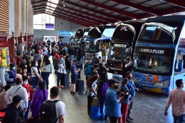 Adulta mayor frustró asalto de delincuente venezolano en Talca: Fue amenazada con cuchillo