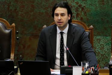 Mirosevic por indulto a Luis Castillo: "No me parecía que era un luchador social, era más bien un delincuente"