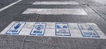 Inauguran primer paso peatonal inclusivo con pictograma en el Centro Educativo Integral de Curicó