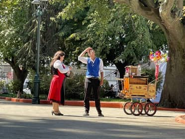 Desaparece loro de chinchineros que grababan spot para la Vendimia de Curicó
