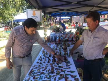 Romeral se adjudica proyecto que fortalecerá a 100 emprendedores