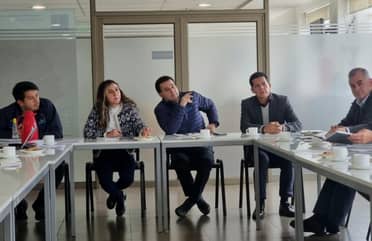 Autoridades de Curicó acuerdan medidas para evitar presencia de caballares y bovinos en la vía pública