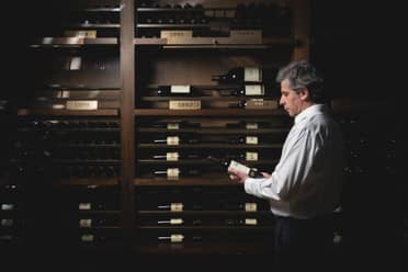 Vino chileno es elegido como uno de los mejores del mundo según reconocida revista internacional
