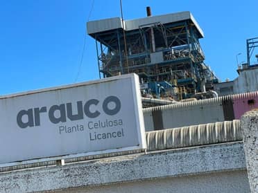 Arauco anuncia suspensión indefinida de producción de celulosa en su planta Licancel