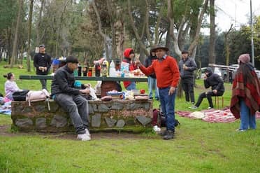 Concejales valoran nueva cara del Parque Cerro Carlos Condell que busca normalizar su funcionamiento