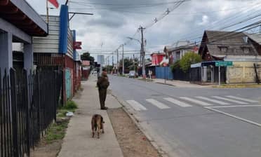 Extranjero que atacó con un cuchillo a trabajadores en Sol de Septiembre quedó preso