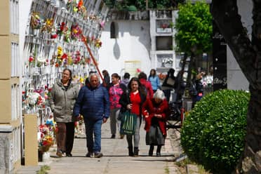 Cementerio Municipal de Curicó alista recepción a la comunidad en el Día de Todos Los Santos