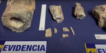 PDI recuperó más de 30 fragmentos de fósiles desenterrados en el Maule por familia que los mostraba en TikTok