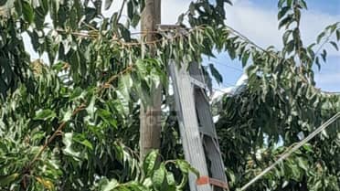 Hombre muere por descarga eléctrica en Sagrada Familia