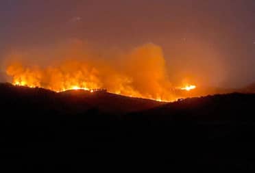 Incendio forestal declarado en Lolol avanza en Hualañé por Los Coipos