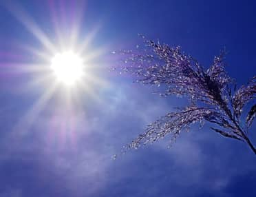 Declaran Alerta Amarilla para el Maule por temperaturas extremas desde este miércoles