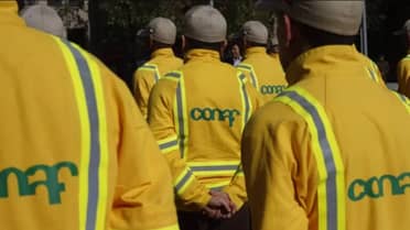 Fin al paro en CONAF: Sindicatos logran "importantes acuerdos" y finalizan movilización