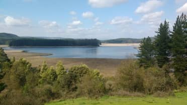 En Laguna Titicura será celebrado este viernes el Día Internacional de Los Humedales