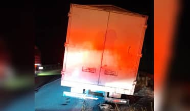Carabineros encontraron camión robado con 17 animales en cruce San Pedro de Molina