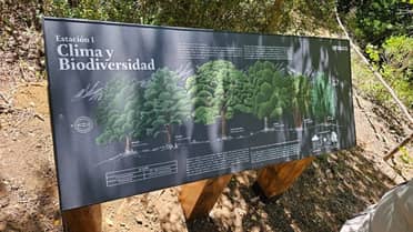 Arauco abrió nuevo sendero Ralbún – Copiulemu en Cobquecura