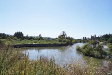 Avanzan obras de intervención del río Mataquito para proteger sectores poblados de Licantén
