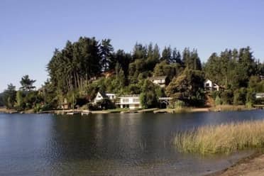 Municipio de Vichuquén busca proteger 13 sectores en el lago para resguardar la biodiversidad