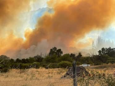 Cuatro comunas del Maule están con alerta roja por incendios forestales en combate