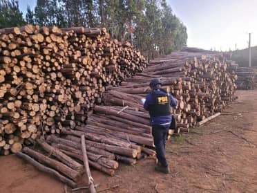 Empresario que pagó $130 millones a grupo armado de La Araucanía quedó en libertad