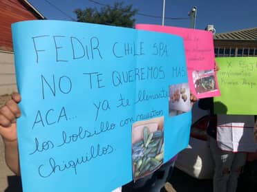 Diputado Alexis Sepúlveda denuncia incumplimiento de empresa a cargo de alimentación escolar y exige reintegro de trabajadoras