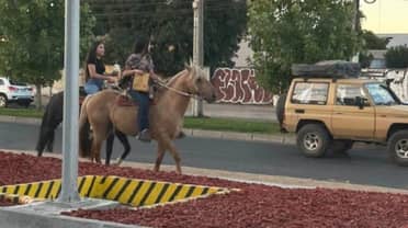 Dos jóvenes llegan a caballo para comprar en McDonald's de Talca