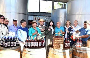 Municipio de Sagrada Familia realizó lanzamiento de la Fiesta de la Chicha de Rincón de Mellado 2024