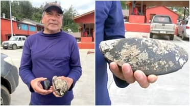 Hombre que encontró choro gigante: "Me lo comí, estaba súper rico"