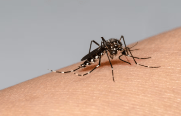 Diputado Hugo Rey exigió al ministerio de Salud transparentar plan contra el dengue