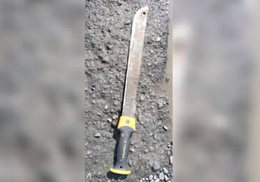 Sujeto que atacó a su hermano con un machete en Lontué quedó en prisión preventiva
