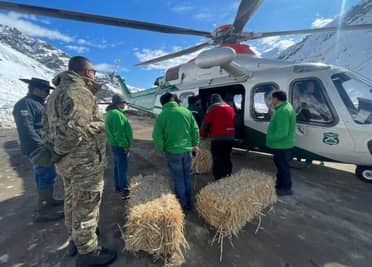 Ejército y Carabineros asistieron operativo para trasladar forraje a ganado aislado en la cordillera del Maule