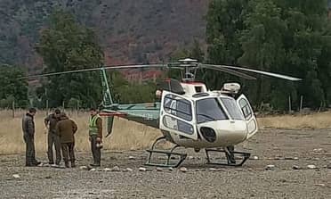 Diputado Pulgar gestionó helicóptero para rescate de animales atrapados por nevadas