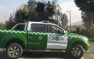 Caída de añoso árbol interrumpió tránsito a la costa frente a Remolino