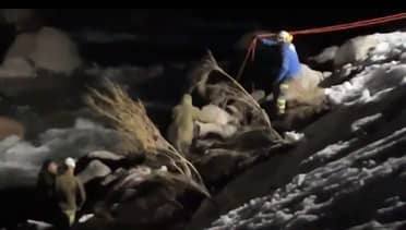Rescatan con vida a tres turistas atrapados en río Maule
