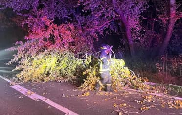 Dos voluntarios de Bomberos fueron atropellados en camino a Vilches por conductor ebrio