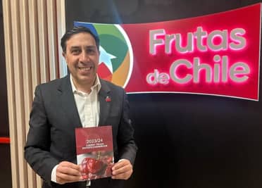 El mundo frutícola se prepara para la Expo Cereza 2024 en Romeral