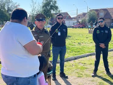 Carabineros y Seguridad Pública de Curicó fiscalizaron uso de hilo curado en Don Sebastián de Rauquén