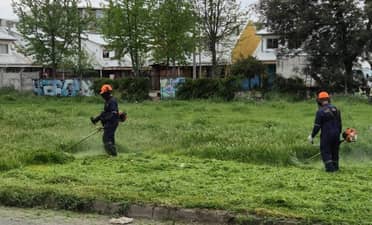 Municipio de Curicó inició trabajos preventivos ante próxima temporada de incendios