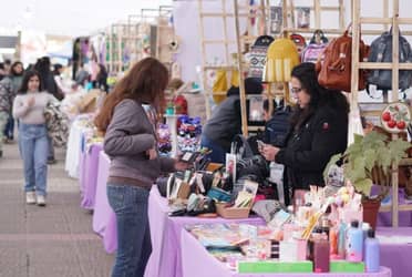 Expo Market Maule del Programa Jefas de Hogar de Constitución tendrá su cuarta versión