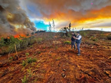 Incendio forestal destruye más de 1.300 hectáreas en Cauquenes
