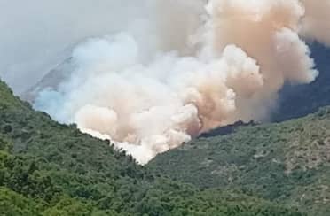 Alerta Roja en Molina: incendio forestal "El Baúl" consume 5 hectáreas y amenaza reserva natural