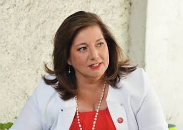 Senadora Vodanovic destacó Decreto de Emergencia que asegura suministro eléctrico para la costa de la provincia de Curicó