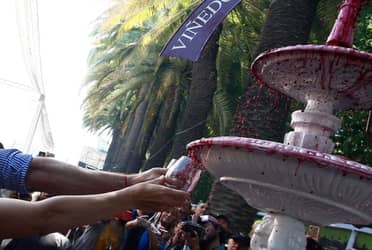 Curicó afina detalles para la Fiesta de la Vendimia 2025: Conoce la parrilla de artistas