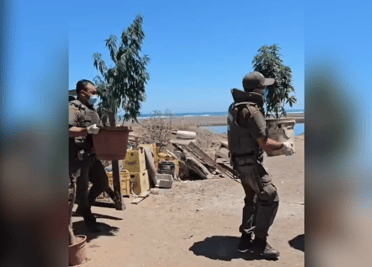 Carabineros detuvo a hombre por cultivo ilegal de marihuana en Iloca